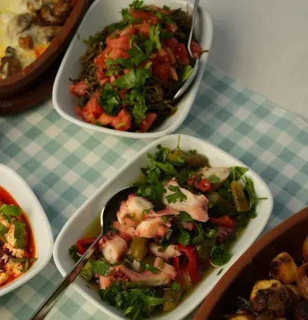 Ahtapot salatası ve deniz börülcesi, kareli örtünün üstünde beyaz meze tabaklarında